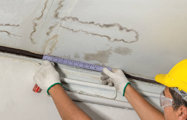 Reliable Mold Remediation contractor in Cadillac, MI by Local Water Damage Repair